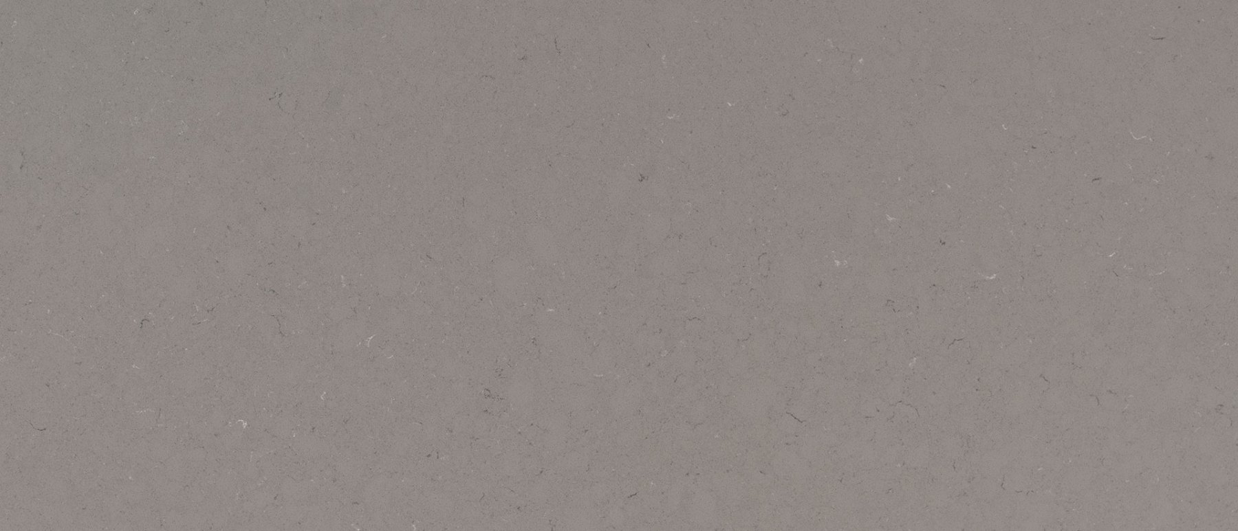 fossil-gray-quartz-1